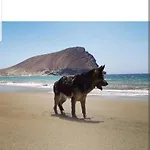 Terrazas Ii