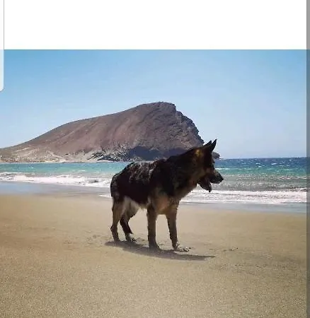 Terrazas Ii